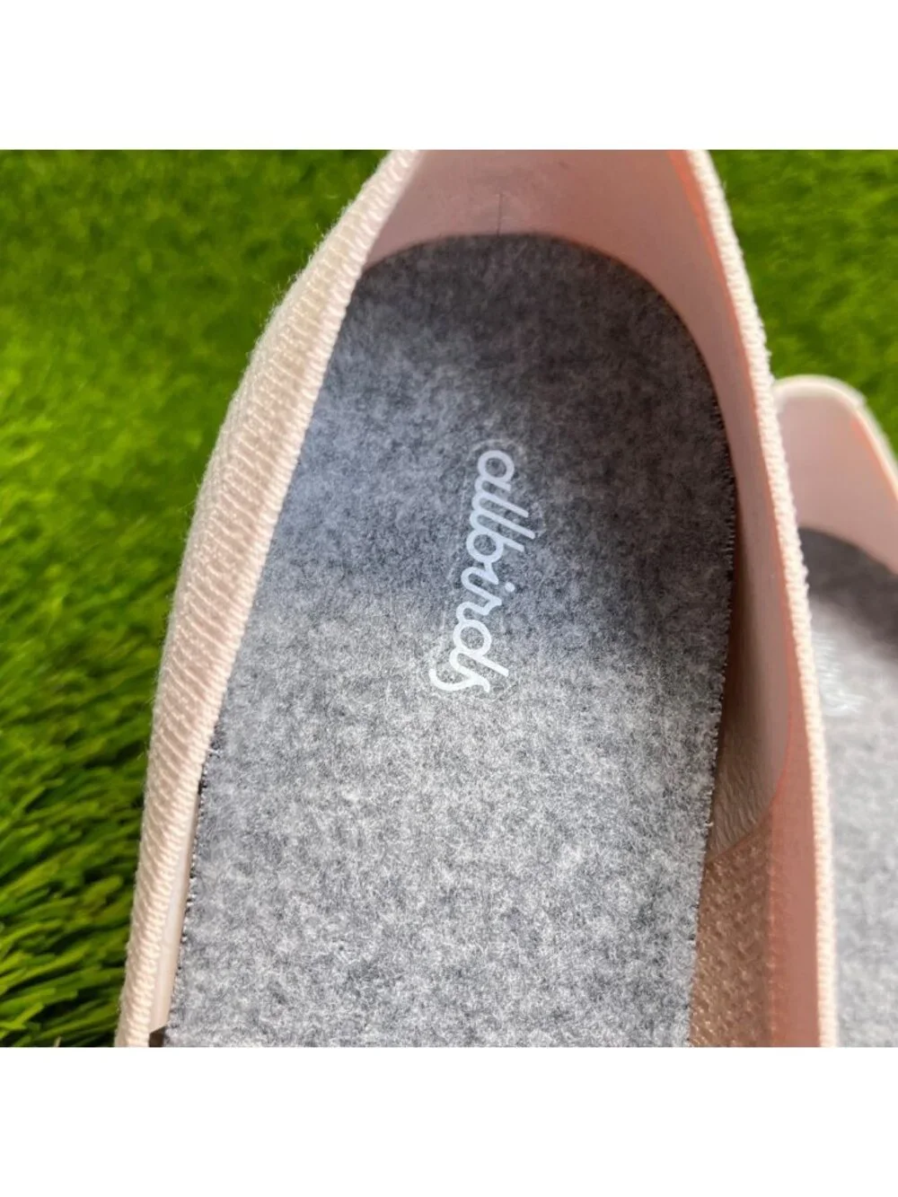 allbirds please review